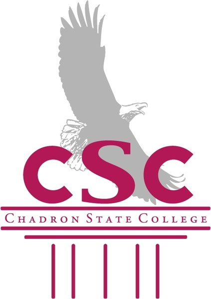 csc 1 