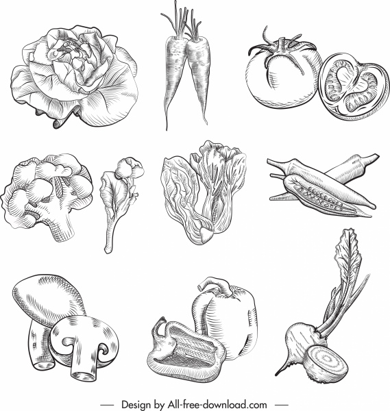 culinary ingredients icons handdrawn vegetables sketch