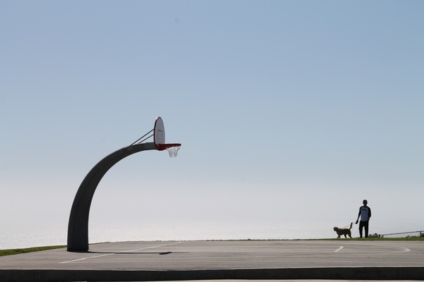 curved basketball hoop 038 man with dog