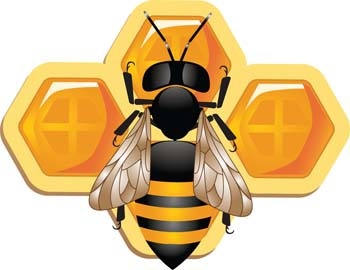 cute 3d bee and honeycomb vector