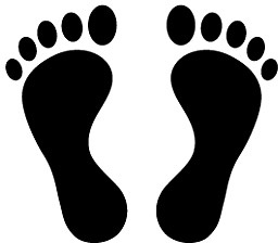 Download Cute footprints vector Free vector in Encapsulated ...
