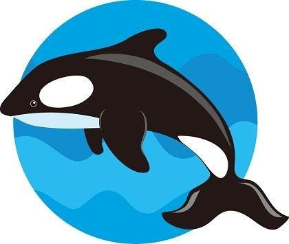 Download Whale free vector download (269 Free vector) for ...