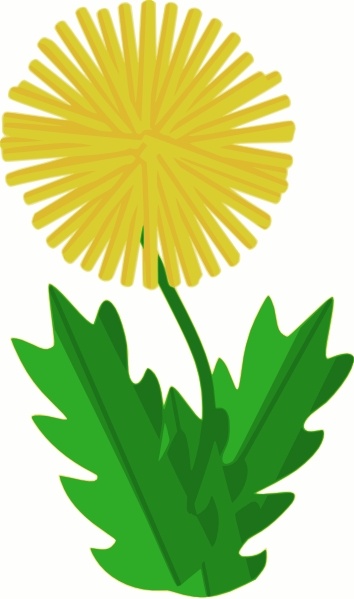 Dandelion clip art