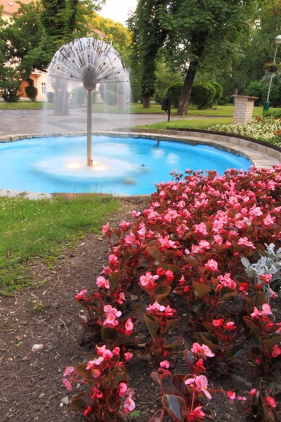 dandelion water fountain