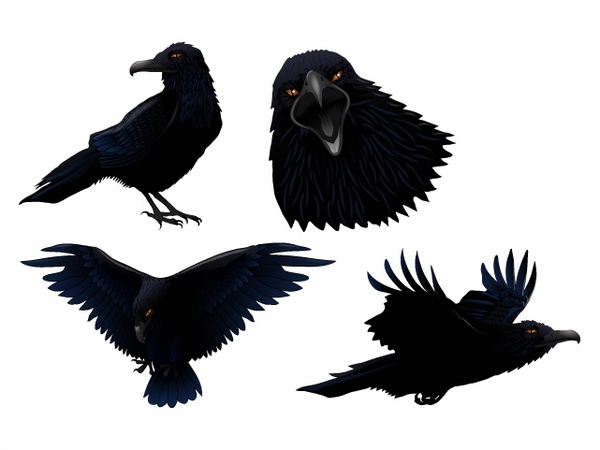 
								Dark Twitter Bird							