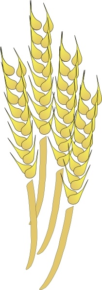 Davosmith Wheat clip art