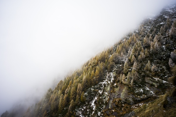 daytime fog forest hiking hill landscape mist