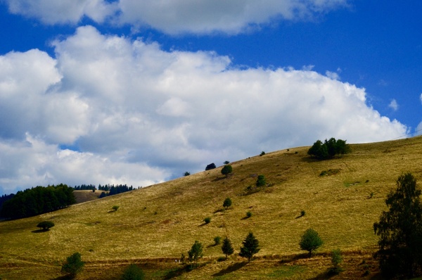 daytime grass grassland hill idyllic landscape
