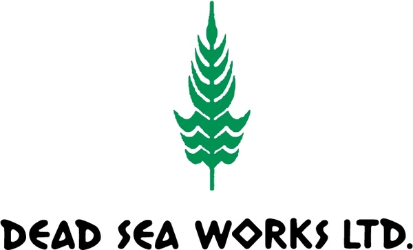 dead sea works
