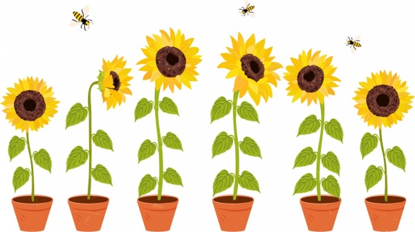 decorative flora drawing sunflower pots honeybees icons 