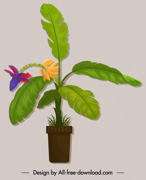 decorative plant icon banana sketch colored classic design
