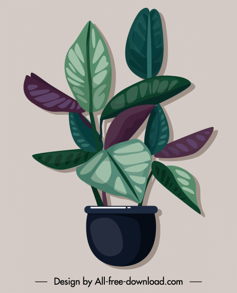 decorative plant icon colored classical flat sketch