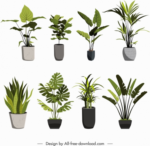 decorative plants icons green leaf porcelain pots sketch