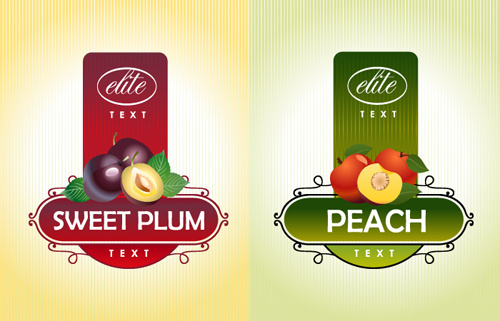 delicate fruit advertising labels vector