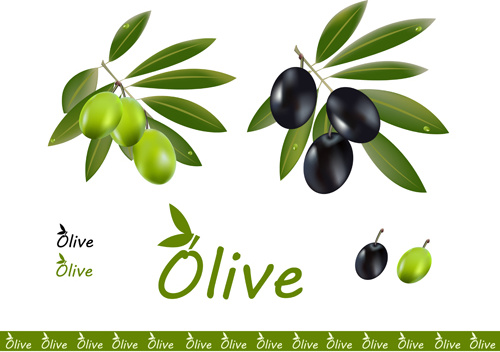 delicate olives vector design