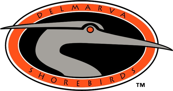 delmarva shorebirds 0 