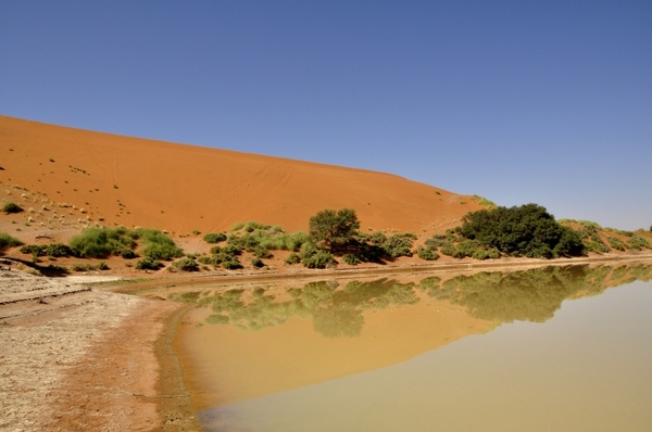 desert dune water