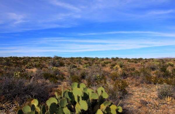 desert horizon at big bend national park texas