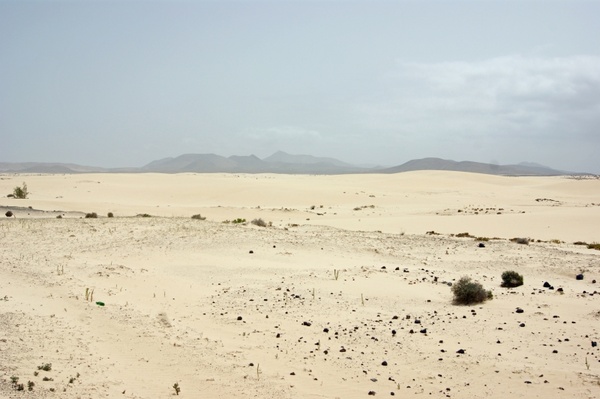desert loneliness arid