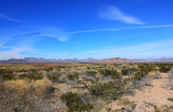 desert scenery at big bend national park texas