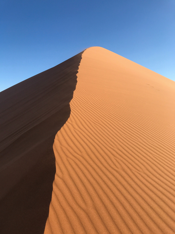 desert scenery picture elegant contrast