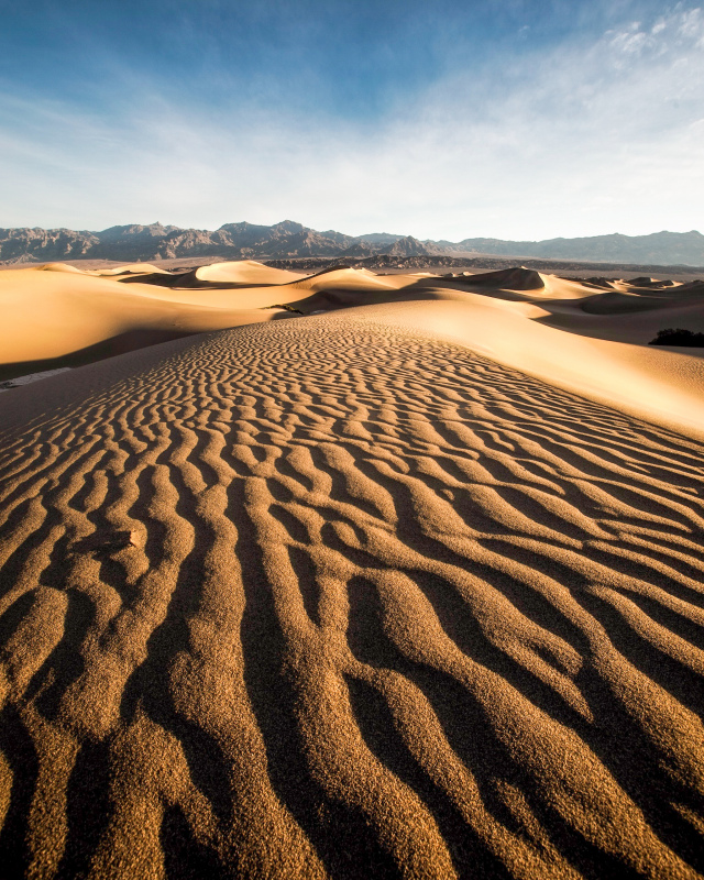 desert scenery picture modern contrast