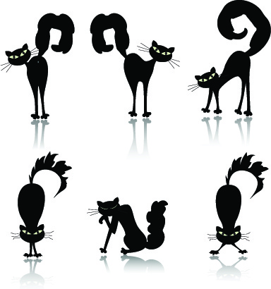 different cats vector illustration