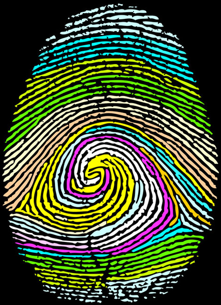 different fingerprints design elements vector