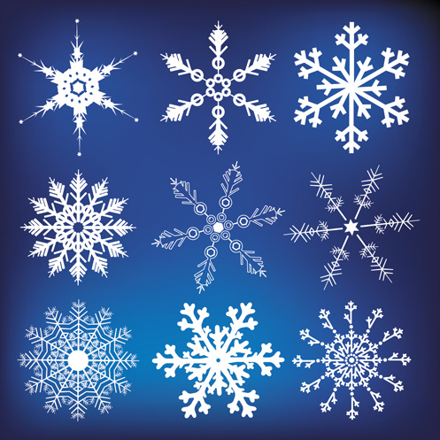 different snowflakes mix design vector