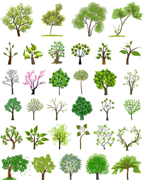 different trees creative design vector 