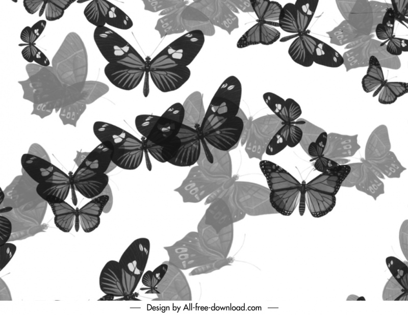 dispersion butterfly brushes backdrop flat blurred black white