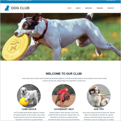 dog club template