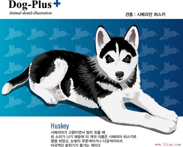 Dog vector Vectors graphic art designs in editable .ai .eps .svg format
