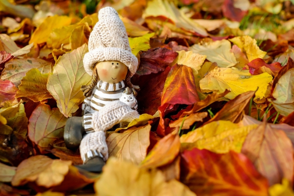 cute girl doll on yellow dried leaves