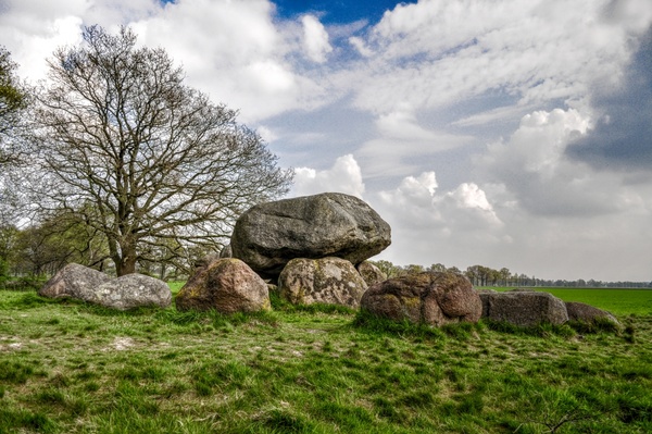 dolmen with old tree 