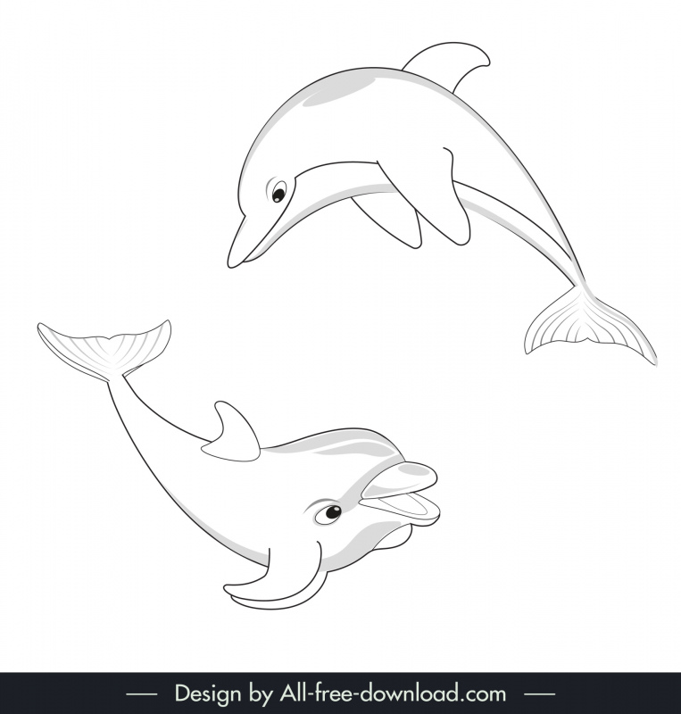 dolphin swimming design elements handdrawn outline  