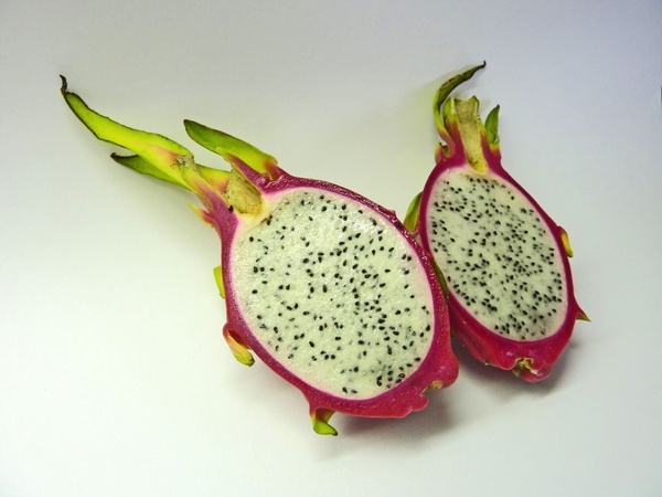 dragon fruit pitahaya pitaya 