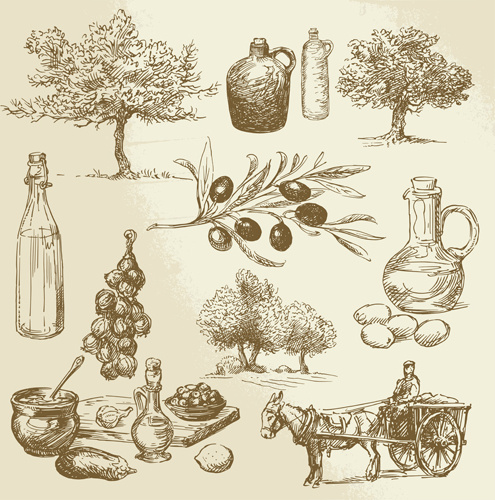 drawing foods retro illustrations vector 