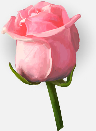 drawing rose bud vector
