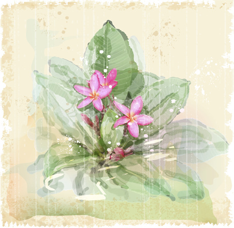 drawn watercolor flower art background vector set