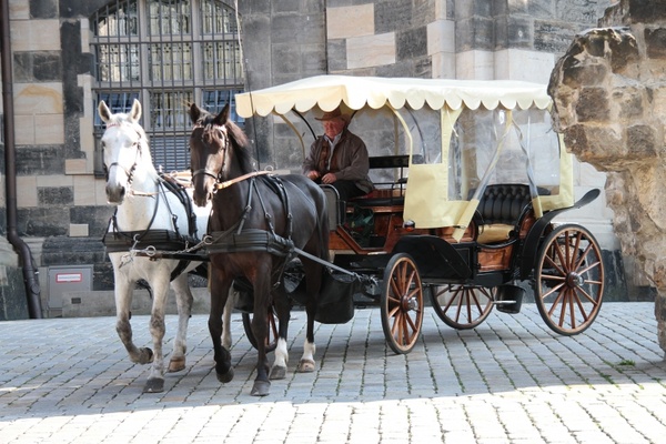 dresden frauenkirche horses