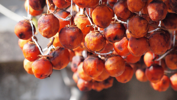 dried persimmons