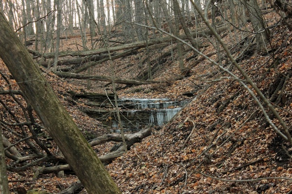 dried stream at pikes peak state park iowa 