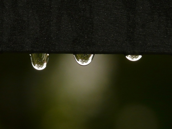 drip raindrop water