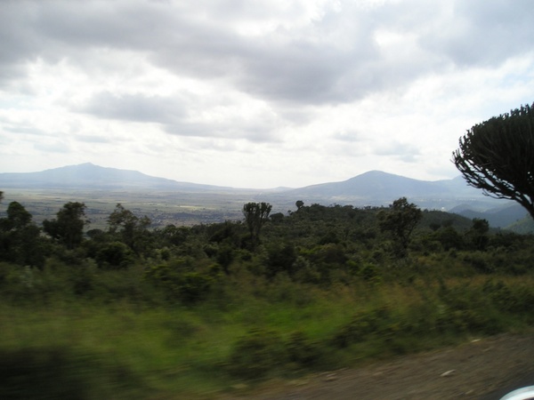 driving past jungle plains