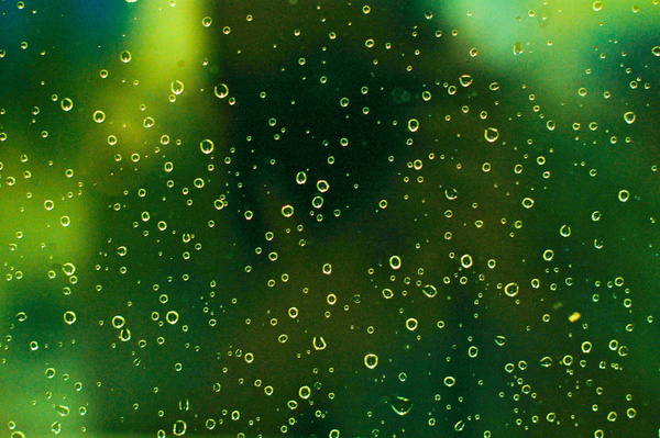 drops on green