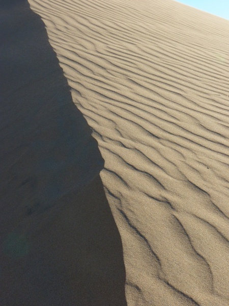 dune desert dry