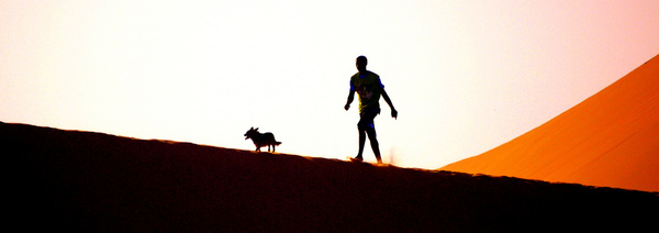 dune runner amp dog 