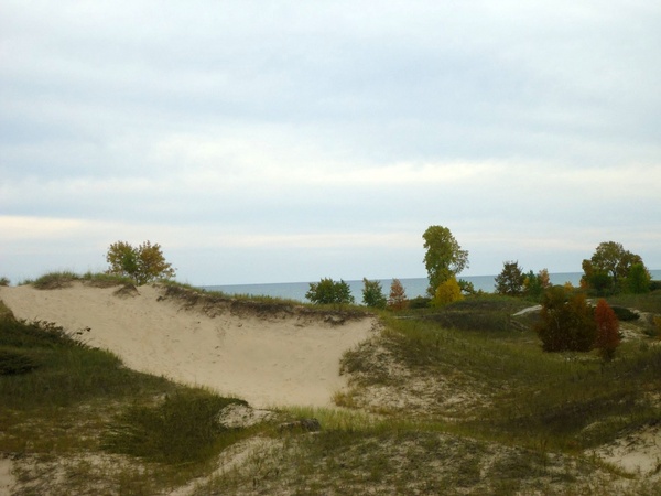 dune to lake at kohler andrae state park wisconsin