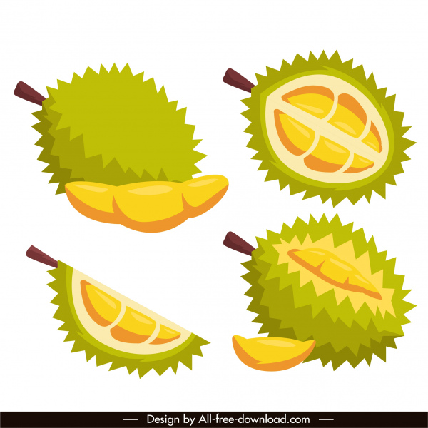 durian fruit icons bright colored classic sketch 